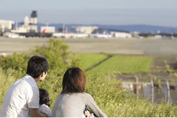 山林や田畑